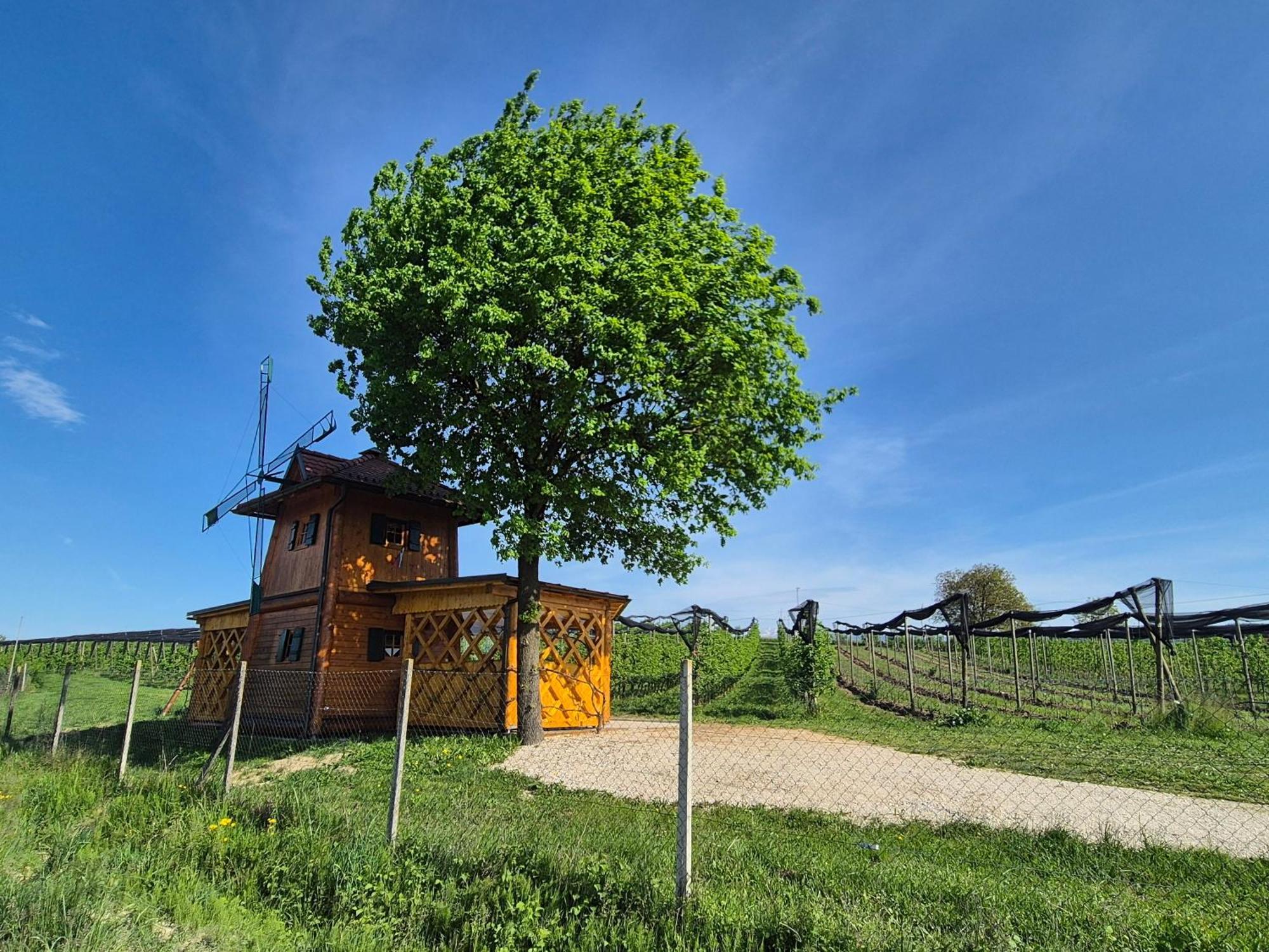 Unique Wooden Holiday House In Nature Lukovica pri Domzalah Экстерьер фото